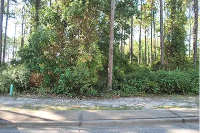 112 Royal Tern Way, Carrabelle, FL 32322 - Photo 2