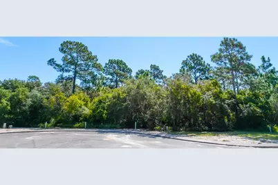 110 Spoonbill Ct, Carrabelle, FL 32323 - Photo 2