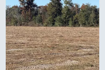 Lot 1 Hwy 71, Wewahitchka, FL 32465 - Photo 4
