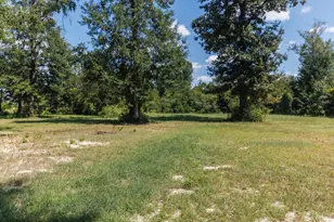 5379 SW Sr 73, Kinard, FL 32449 - Photo 50