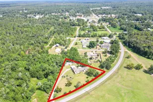 673 W River Rd, Wewahitchka, FL 32465 - Photo 4