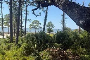 17 S Bay Shore Dr, Eastpoint, FL 32328 - Photo 8