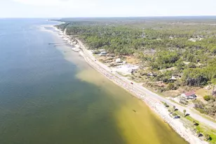 110 Shell Bay Ct, Carrabelle, FL 32322 - Photo 38