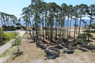110 Shell Bay Ct, Carrabelle, FL 32322 - Photo 36