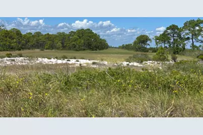 728 Gulf Shore Dr, Carrabelle, FL 32322 - Photo 8