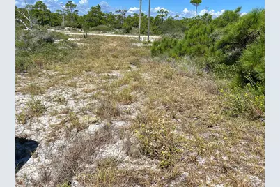 728 Gulf Shore Dr, Carrabelle, FL 32322 - Photo 4