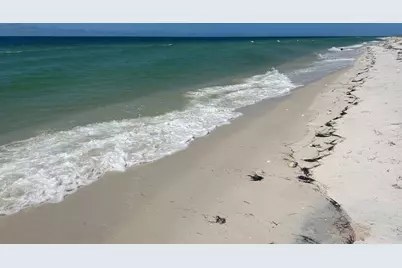 728 Gulf Shore Dr, Carrabelle, FL 32322 - Photo 6