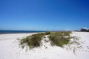 229 Balboa St, Port Saint Joe, FL 32456 - Photo 54