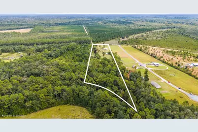 821 Mace Martin Rd, Wewahitchka, FL 32465 - Photo 36