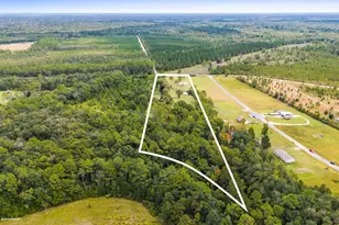 821 Mace Martin Rd, Wewahitchka, FL 32465 - Photo 36