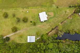 821 Mace Martin Rd, Wewahitchka, FL 32465 - Photo 32