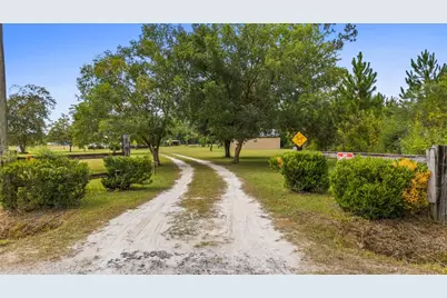 821 Mace Martin Rd, Wewahitchka, FL 32465 - Photo 6