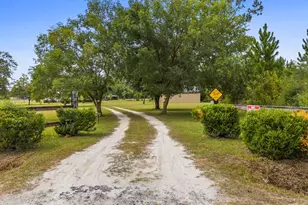 821 Mace Martin Rd, Wewahitchka, FL 32465 - Photo 6