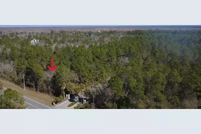 102 Whip-Por-Will Rd, Apalachicola, FL 32320 - Photo 12