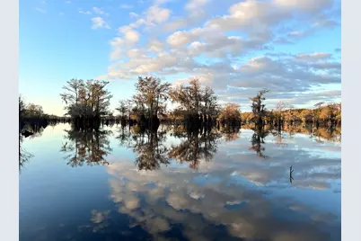 340 S Squirrel Ave, Wewahitchka, FL 32465 - Photo 30