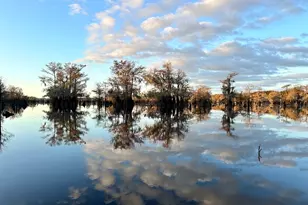 340 S Squirrel Ave, Wewahitchka, FL 32465 - Photo 30