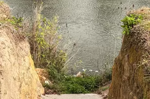 204 Riverview Dr, Wewahitchka, FL 32465 - Photo 24