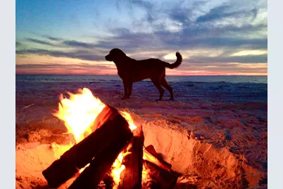 Lot 84 Pinnacle Dr, Port Saint Joe, FL 32456 - Photo 32