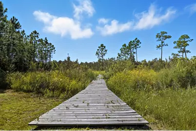 214 Lake McKissack Ln, Carrabelle, FL 32322 - Photo 34