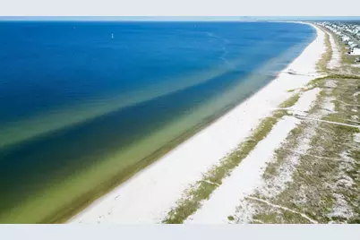 253 Canal St, Port Saint Joe, FL 32456 - Photo 30