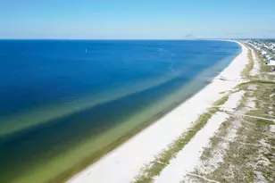 253 Canal St, Port Saint Joe, FL 32456 - Photo 30