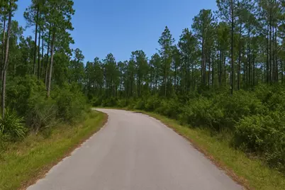 180 Alexis Way, Wewahitchka, FL 32465 - Photo 2