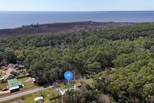 53 Bay Shore Dr, Apalachicola, FL 32320 - Photo 38