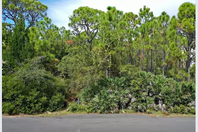 1804 Denise Ct, Saint George Island, FL 32328 - Photo 14