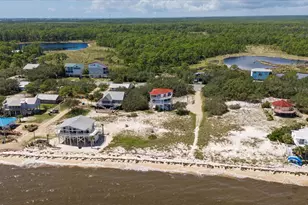 6 Kingfish St, Alligator Point, FL 32346 - Photo 70