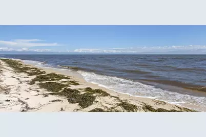 6 Kingfish St, Alligator Point, FL 32346 - Photo 54