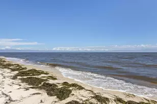 6 Kingfish St, Alligator Point, FL 32346 - Photo 54