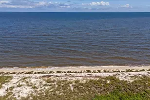 6 Kingfish St, Alligator Point, FL 32346 - Photo 60