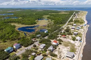 6 Kingfish St, Alligator Point, FL 32346 - Photo 72