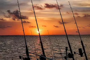 1008 15th St, Mexico Beach, FL 32456 - Photo 16