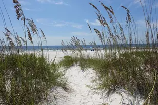 124 Sugar Sand W, Mexico Beach, FL 32456 - Photo 2