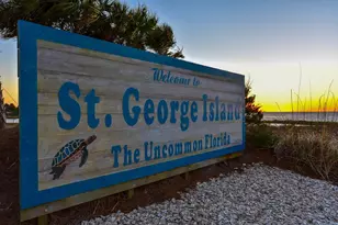 941 W Gulf Beach Dr, Saint George Island, FL 32328 - Photo 36