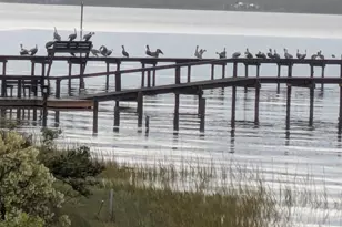 1678 Alligator Dr, Alligator Point, FL 32346 - Photo 46