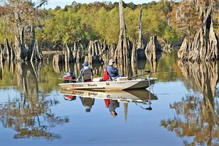 354 Canning Dr, Wewahitchka, FL 32465 - Photo 68