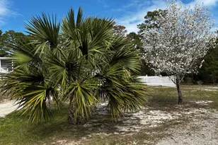 1810 Lighthouse Rd, Carrabelle, FL 32322 - Photo 70