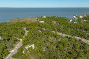 1208 Sea Dune Dr, Saint George Island, FL 32328 - Photo 44