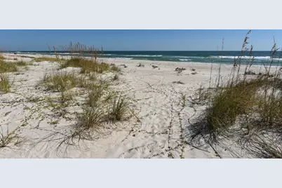 1200 E Gulf Beach Dr, Saint George Island, FL 32328 - Photo 4