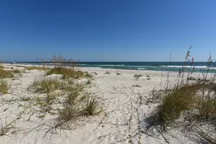 1200 E Gulf Beach Dr, Saint George Island, FL 32328 - Photo 4