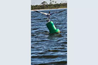 673 Wilderness Rd, Eastpoint, FL 32328 - Photo 44