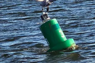 673 Wilderness Rd, Eastpoint, FL 32328 - Photo 44