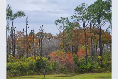 673 Wilderness Rd, Eastpoint, FL 32328 - Photo 42