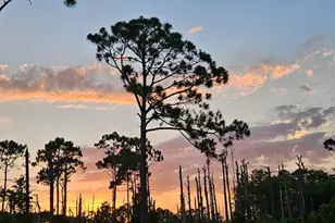 673 Wilderness Rd, Eastpoint, FL 32328 - Photo 40