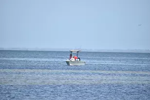 200 Gautier Memorial Ln, Port Saint Joe, FL 32456 - Photo 80