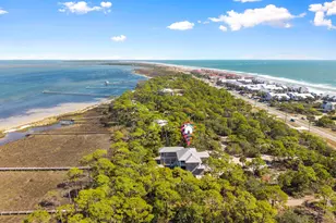 1725 E Gulf Beach Dr, Saint George Island, FL 32328 - Photo 56