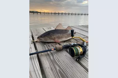 2035 Turpentine Trl, Saint George Island, FL 32328 - Photo 60