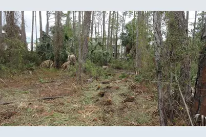 964 E Pine Ave, Saint George Island, FL 32328 - Photo 2